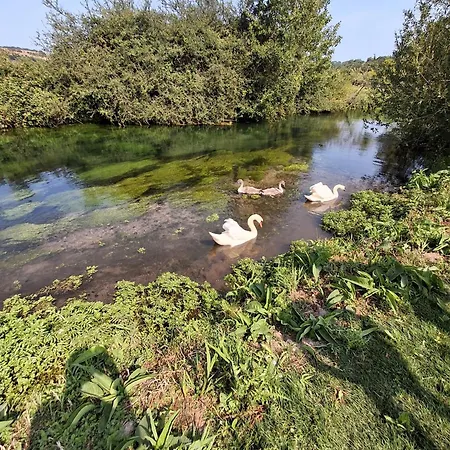Le Lilas Au Bord De Riviere Paluel